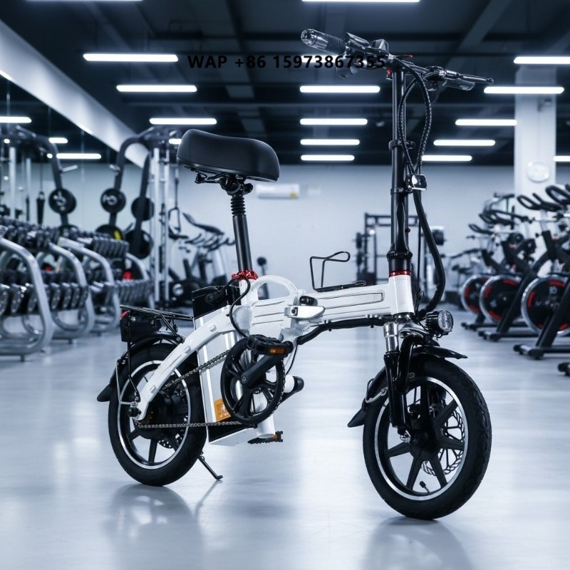 Commuter Biking - Bicicletta Elettrica Pieghevole Mini, Fornitura Diretta