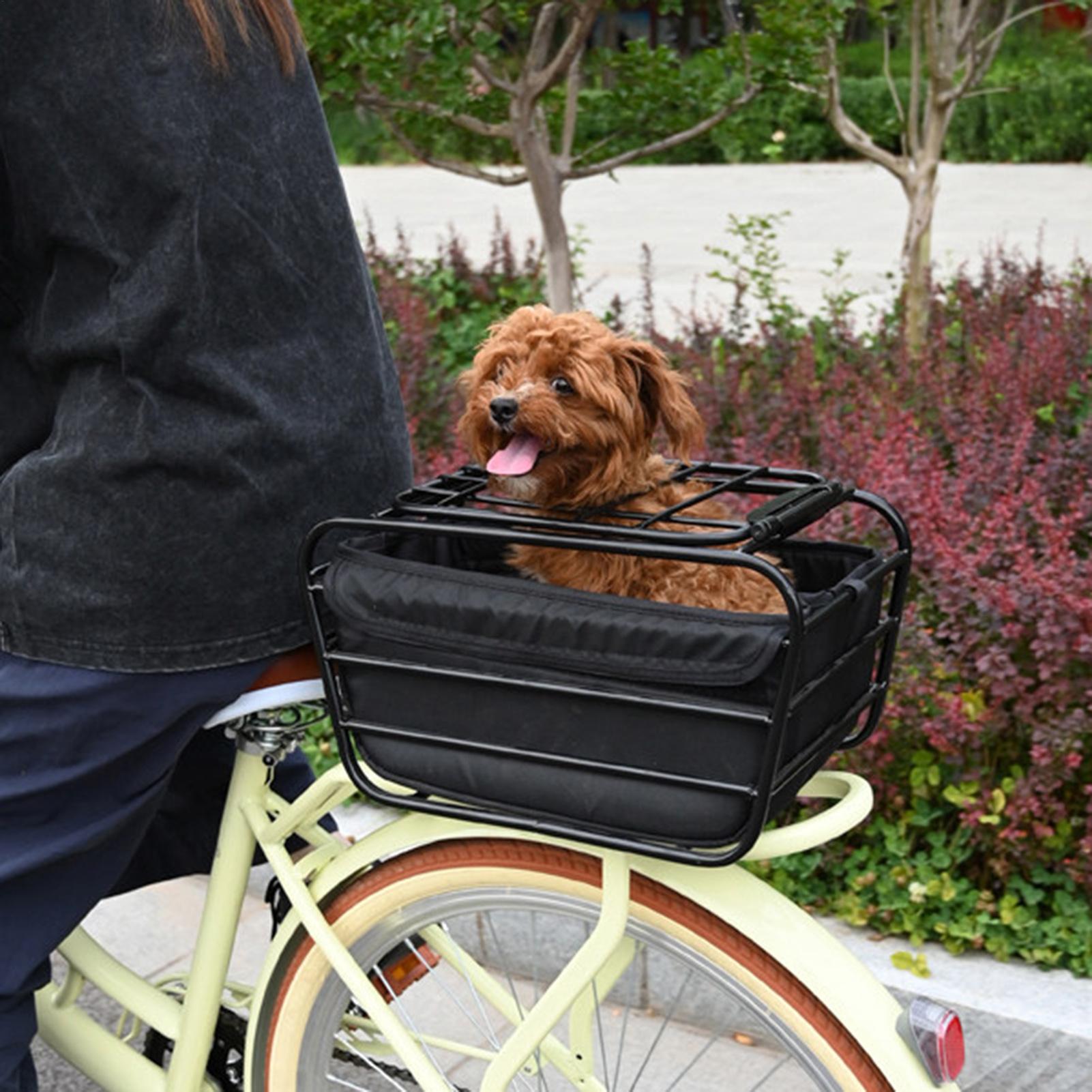 Cestino posteriore per bici, r - Cycling To Commute recensione e prezzo